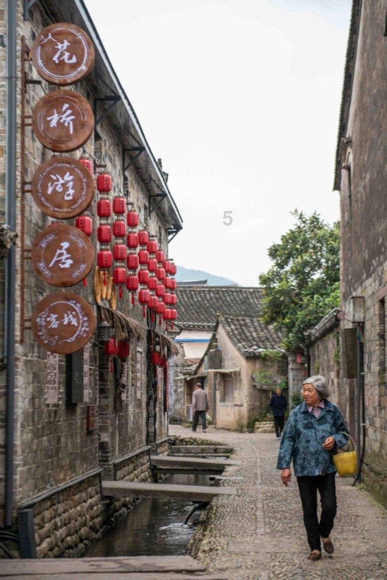 可爱猫咪救援